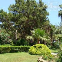 фото из отзыва ID 942370