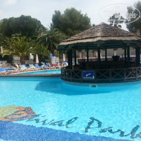 фото из отзыва ID 942495