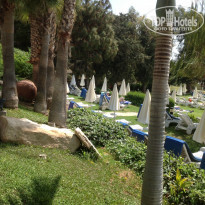 фото из отзыва ID 942571