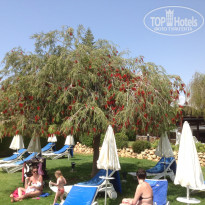 фото из отзыва ID 942571