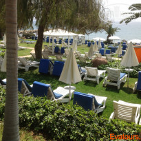 фото из отзыва ID 942571