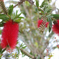 фото из отзыва ID 942595