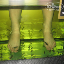 фото из отзыва ID 942605