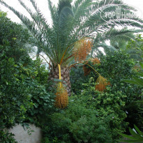 фото из отзыва ID 942687