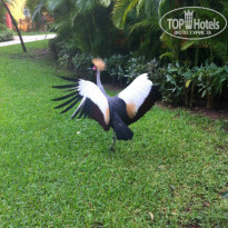 фото из отзыва ID 942149