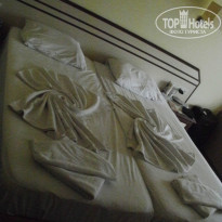 фото из отзыва ID 943108