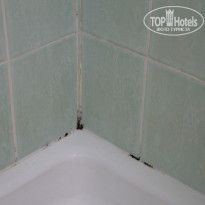 фото из отзыва ID 943306