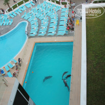 фото из отзыва ID 943525