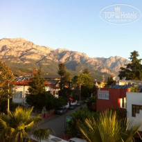 фото из отзыва ID 943414