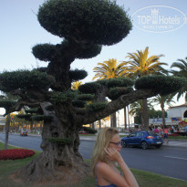 фото из отзыва ID 943702