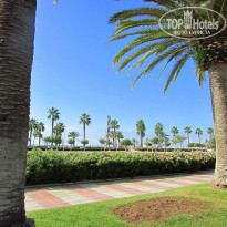 фото из отзыва ID 943522