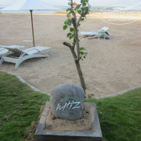 фото из отзыва ID 944104