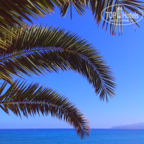 фото из отзыва ID 944313