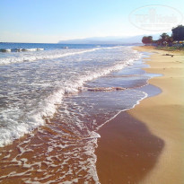 фото из отзыва ID 944313