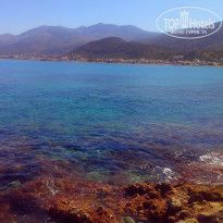 фото из отзыва ID 944313