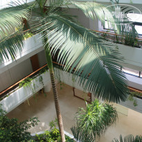 фото из отзыва ID 944592