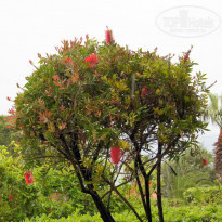 фото из отзыва ID 944654