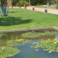 фото из отзыва ID 944674