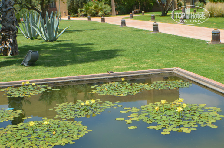 New photos from tourists Sahara Palace Marrakech 5*