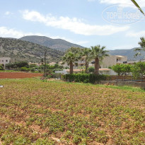 фото из отзыва ID 944855