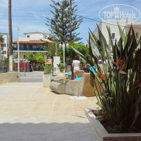 фото из отзыва ID 944855