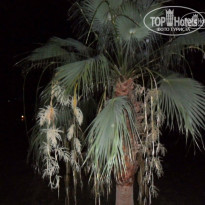 фото из отзыва ID 944998