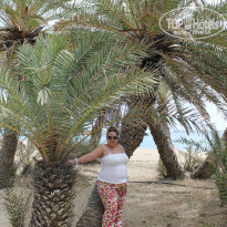 фото из отзыва ID 944035