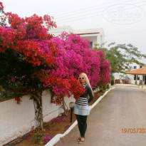 фото из отзыва ID 945062