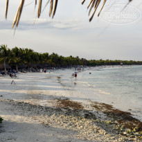 фото из отзыва ID 945390