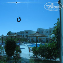 фото из отзыва ID 945436