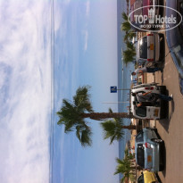 фото из отзыва ID 945541