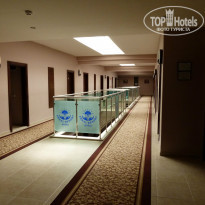 фото из отзыва ID 945583