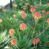 фото из отзыва ID 945936