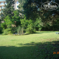 фото из отзыва ID 945936