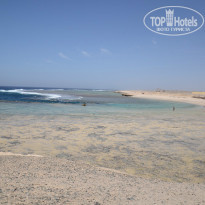 фото из отзыва ID 945556