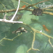 фото из отзыва ID 945185