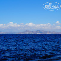 фото из отзыва ID 945595