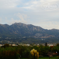 фото из отзыва ID 945595