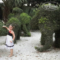 фото из отзыва ID 946126