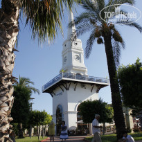 фото из отзыва ID 946277