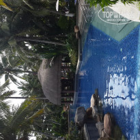 фото из отзыва ID 946768