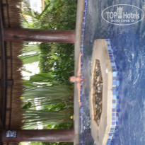 фото из отзыва ID 946768