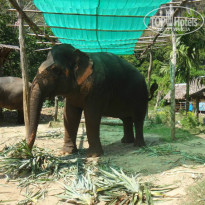 фото из отзыва ID 946575