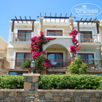 фото из отзыва ID 946900