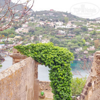 фото из отзыва ID 946993