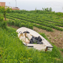 фото из отзыва ID 946993