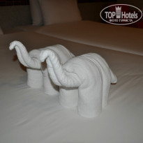 фото из отзыва ID 946190