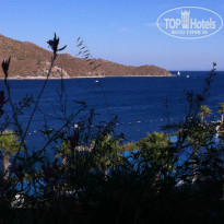 фото из отзыва ID 946750