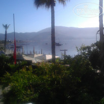 фото из отзыва ID 947072