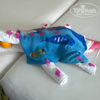 фото из отзыва ID 947245